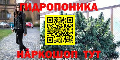 стаф Ангарск