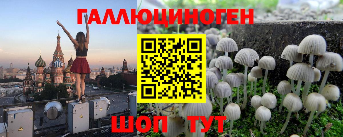 Псилоцибиновые грибы MAGIC MUSHROOMS  Псилоцибиновые грибы Psilocybine cubensis  Вход с VPN  Благодарный 